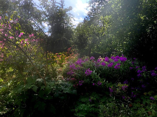 Growreport Bild 33