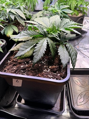 Growreport Bild 15