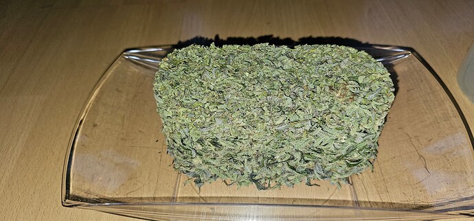 Growreport Bild 47