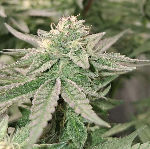 476447546_122167156082293599_9219813721268524141_n