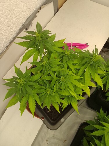 Growreport Bild 11