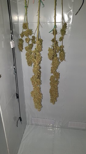 Growreport Bild 4