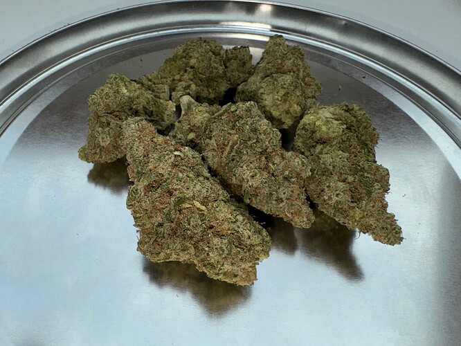 Growreport Bild 73