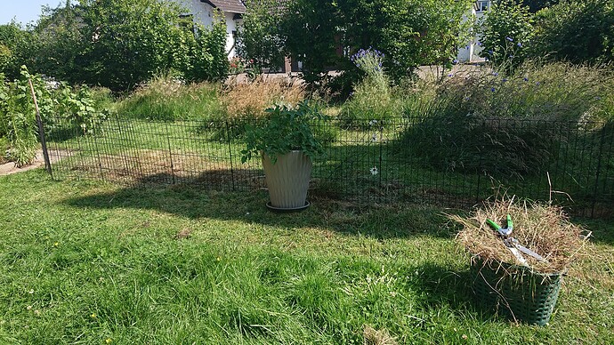 Growreport Bild 29