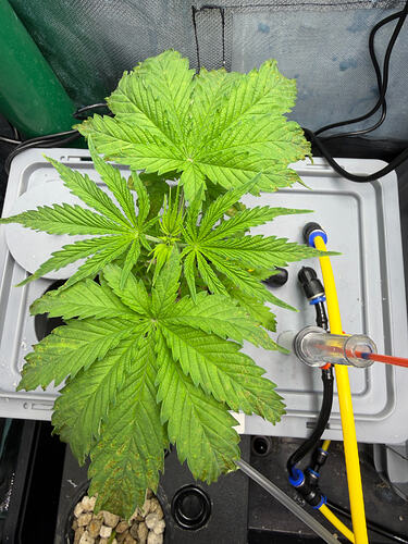 Growreport Bild 11