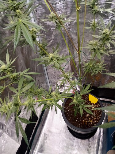 Growreport Bild 12