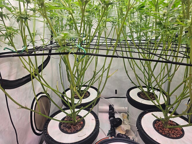 Growreport Bild 22
