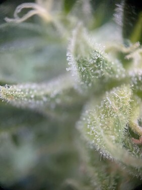 PXL_20250621_142556027.MP