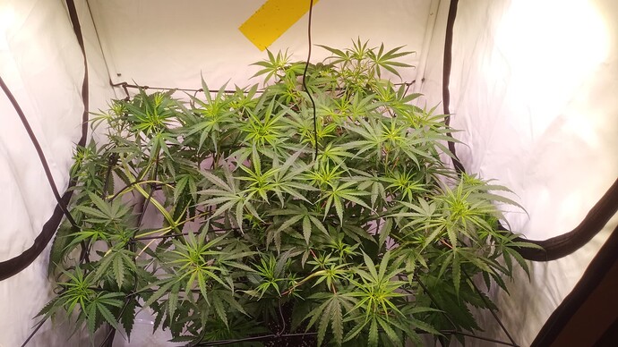 Growreport Bild 10