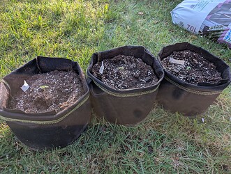 PXL_20250408_063707767.MP