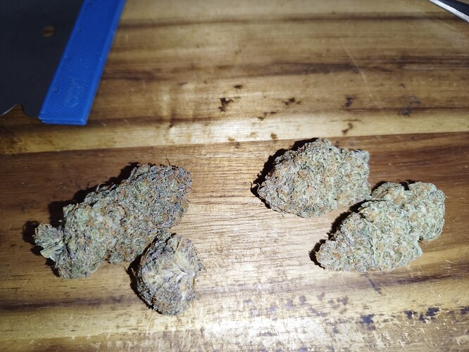 Growreport Bild 9