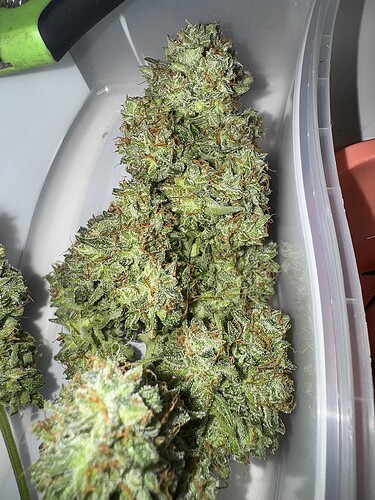 Growreport Bild 5