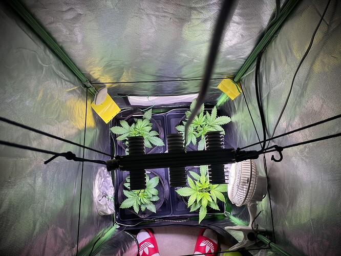 Growreport Bild 14