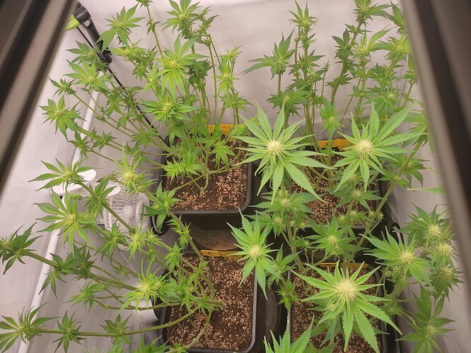 Growreport Bild 24