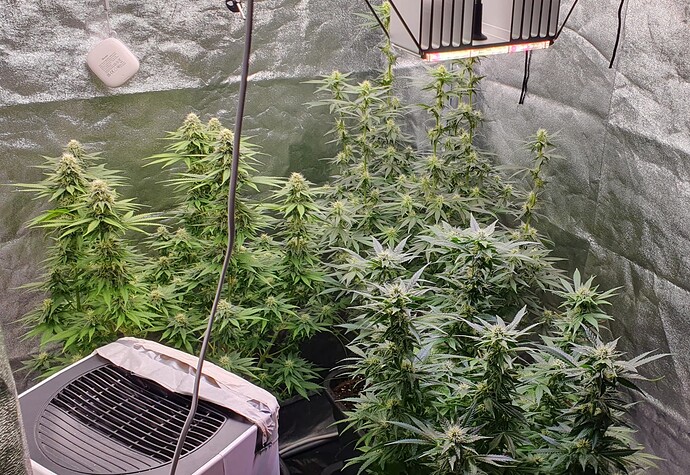 Growreport Bild 2
