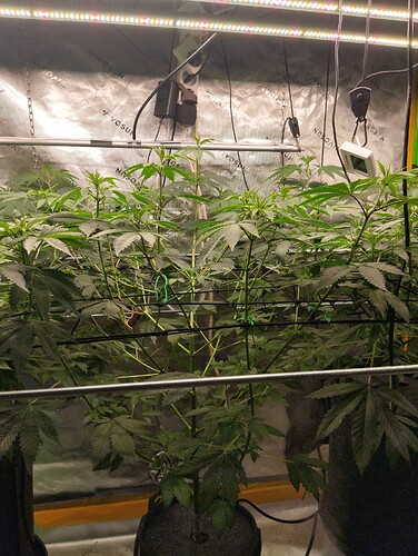 Growreport Bild 5