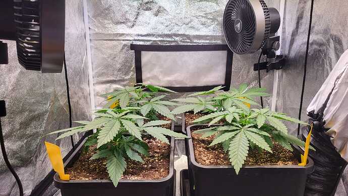Growreport Bild 14
