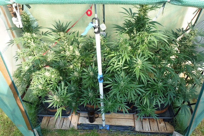 Growreport Bild 17