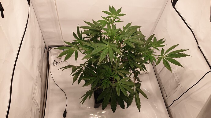 Growreport Bild 5