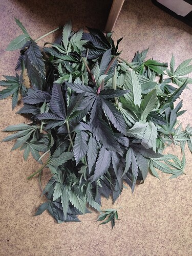 Growreport Bild 21