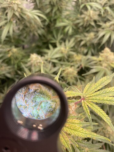 Growreport Bild 10