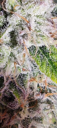 Growreport Bild 14