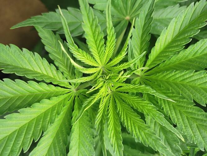 Growreport Bild 4