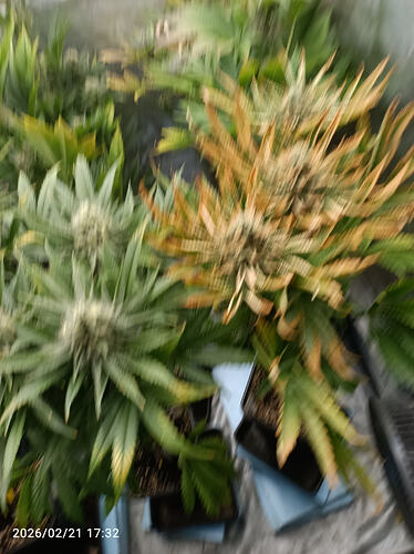 Growreport Bild 8
