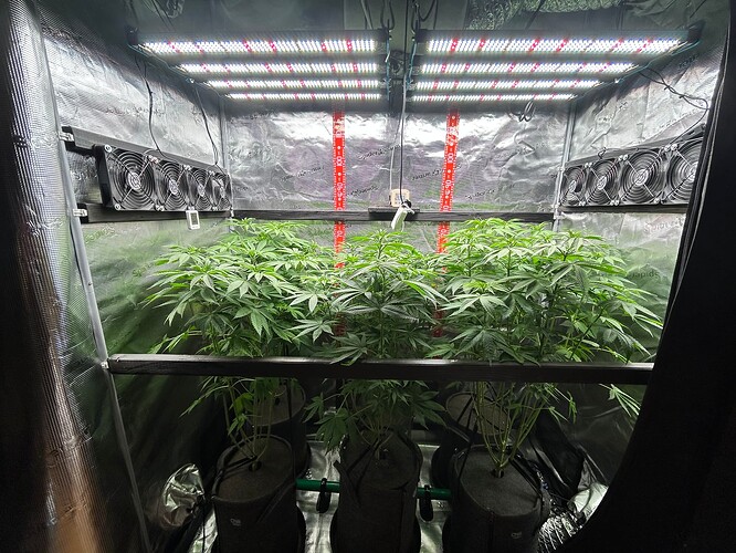 Growreport Bild 18