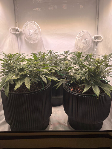 Growreport Bild 13