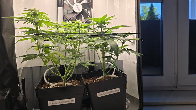 Growreport Bild 8