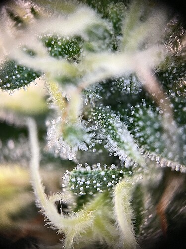 Growreport Bild 22