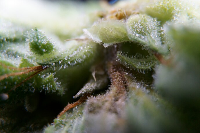 2_Umstellung51_Verdacht (4)