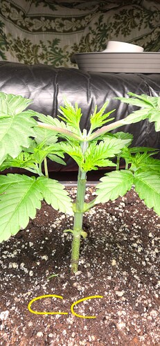 Growreport Bild 22