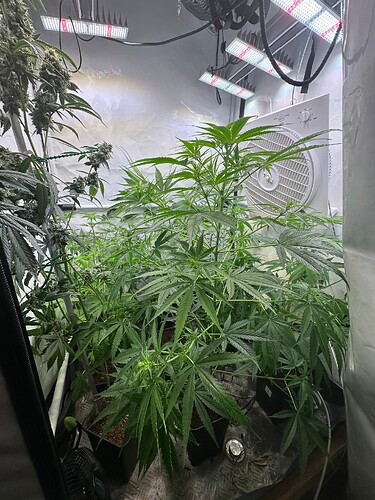 Growreport Bild 8