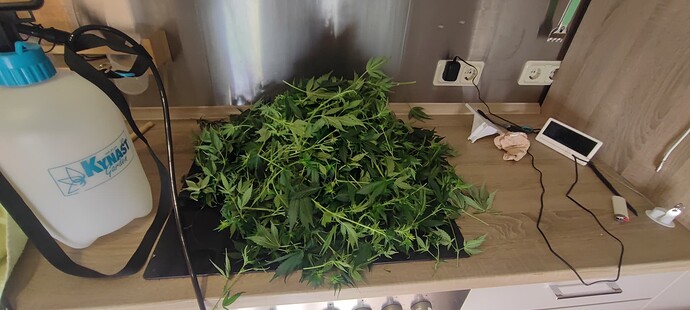 Growreport Bild 17