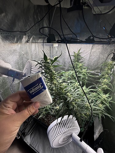 Growreport Bild 4