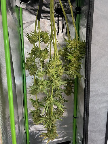 Growreport Bild 14