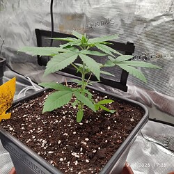 WhatsApp Bild 2025-04-19 um 17.25.52_863abf35