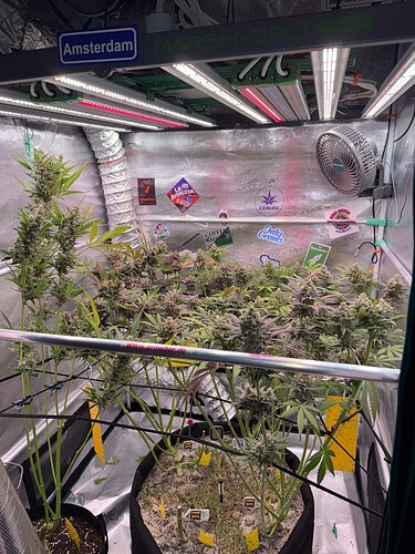Growreport Bild 47