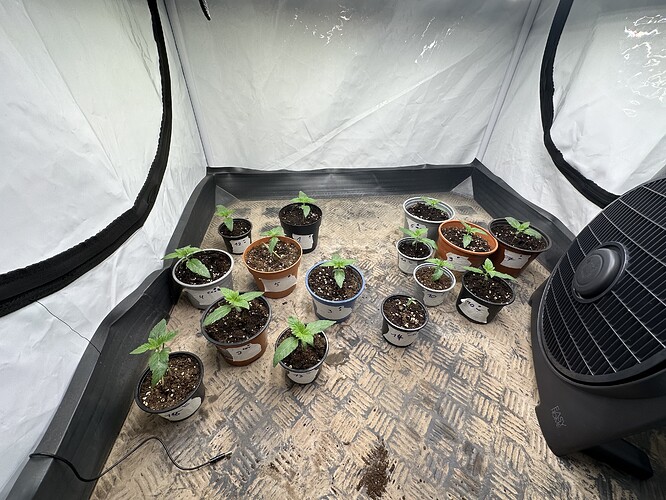 Growreport Bild 4