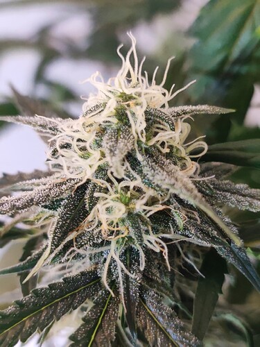 Growreport Bild 14
