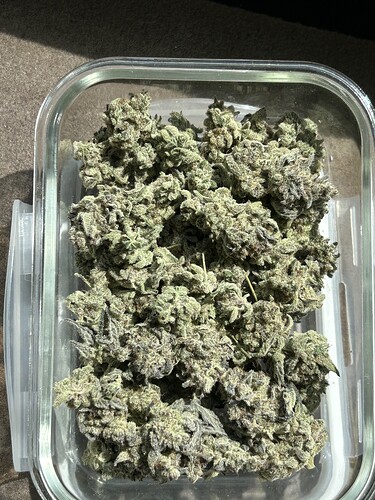 Growreport Bild 63