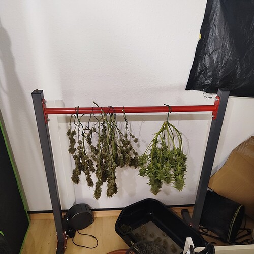 Growreport Bild 3