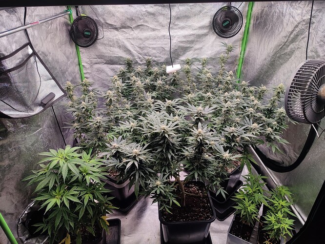 Growreport Bild 16