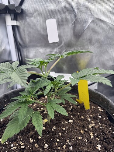Growreport Bild 18