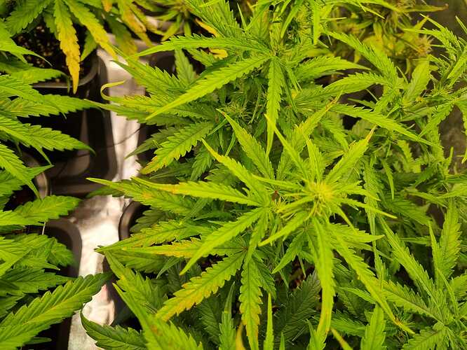 WhatsApp Bild 2024-06-23 um 19.02.33_8ae89e01