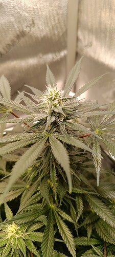 Growreport Bild 12