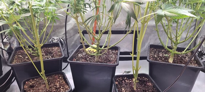 Growreport Bild 11