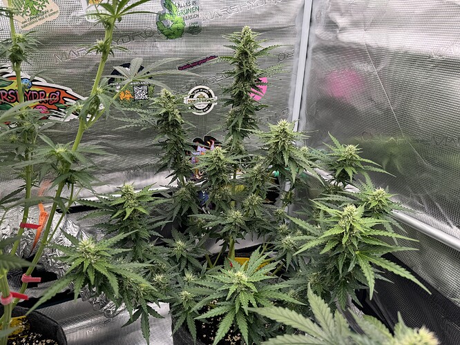 Growreport Bild 17